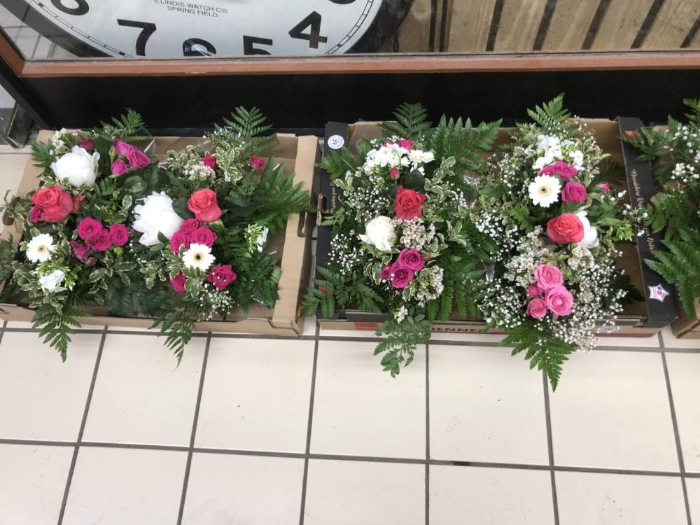 Plante intérieur près de Montargis