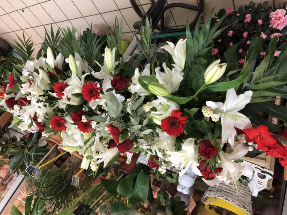 fleurs-rouges-blanches